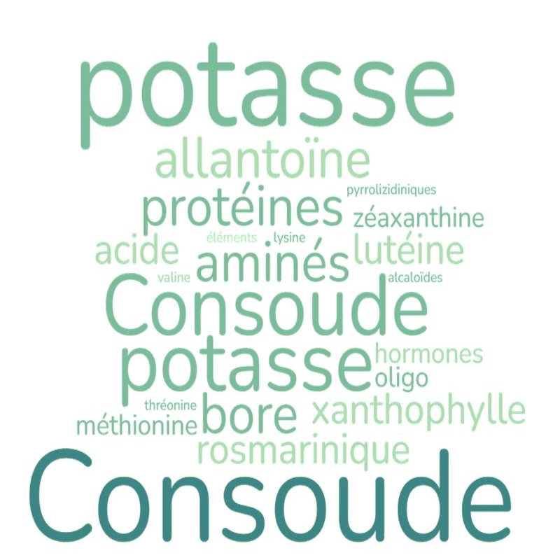 composants de la consoude utiles au jardin dont allantoine
